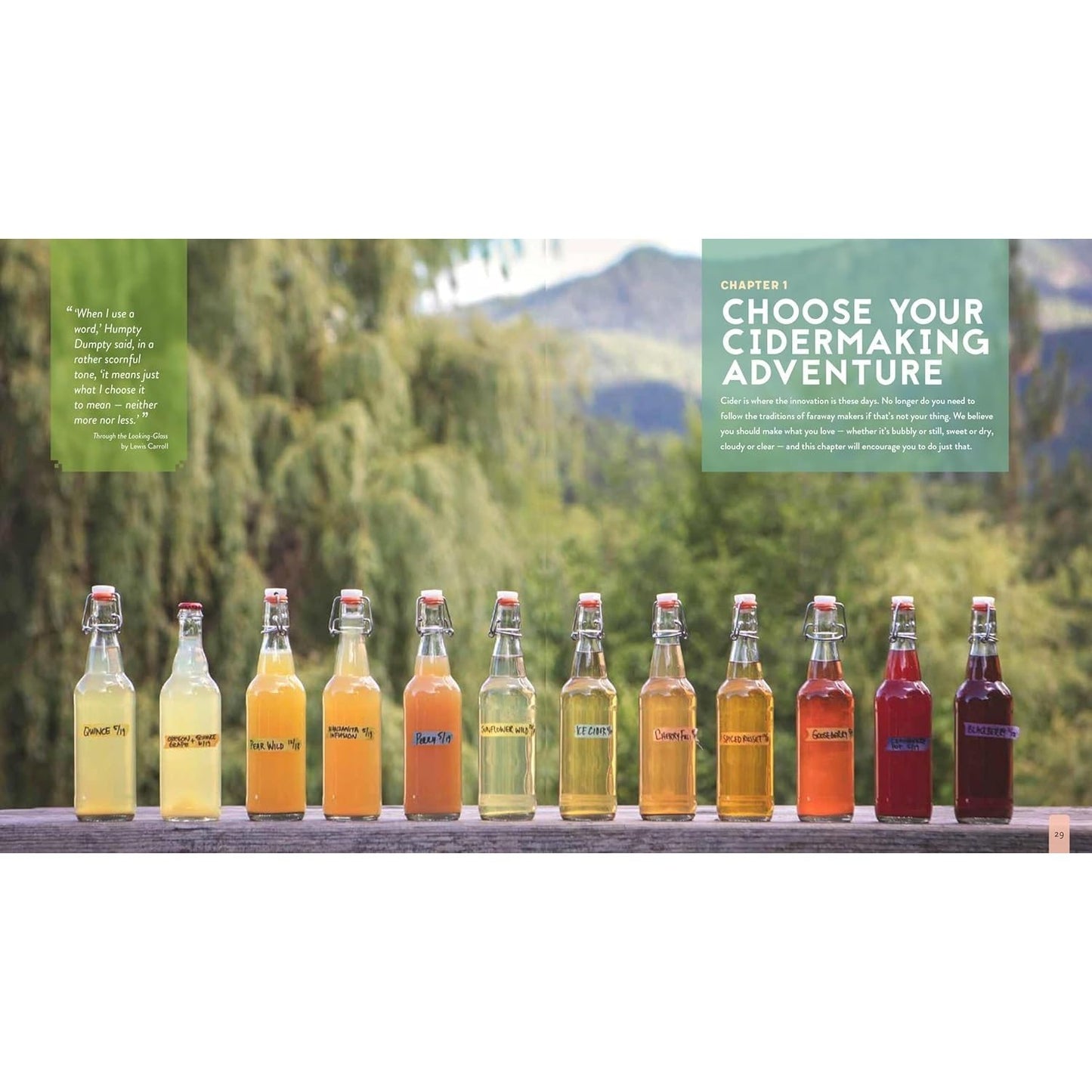 The Big Book of Cidermaking: Expert Techniques for Fermenting and Flavoring Your Favorite Hard Cider