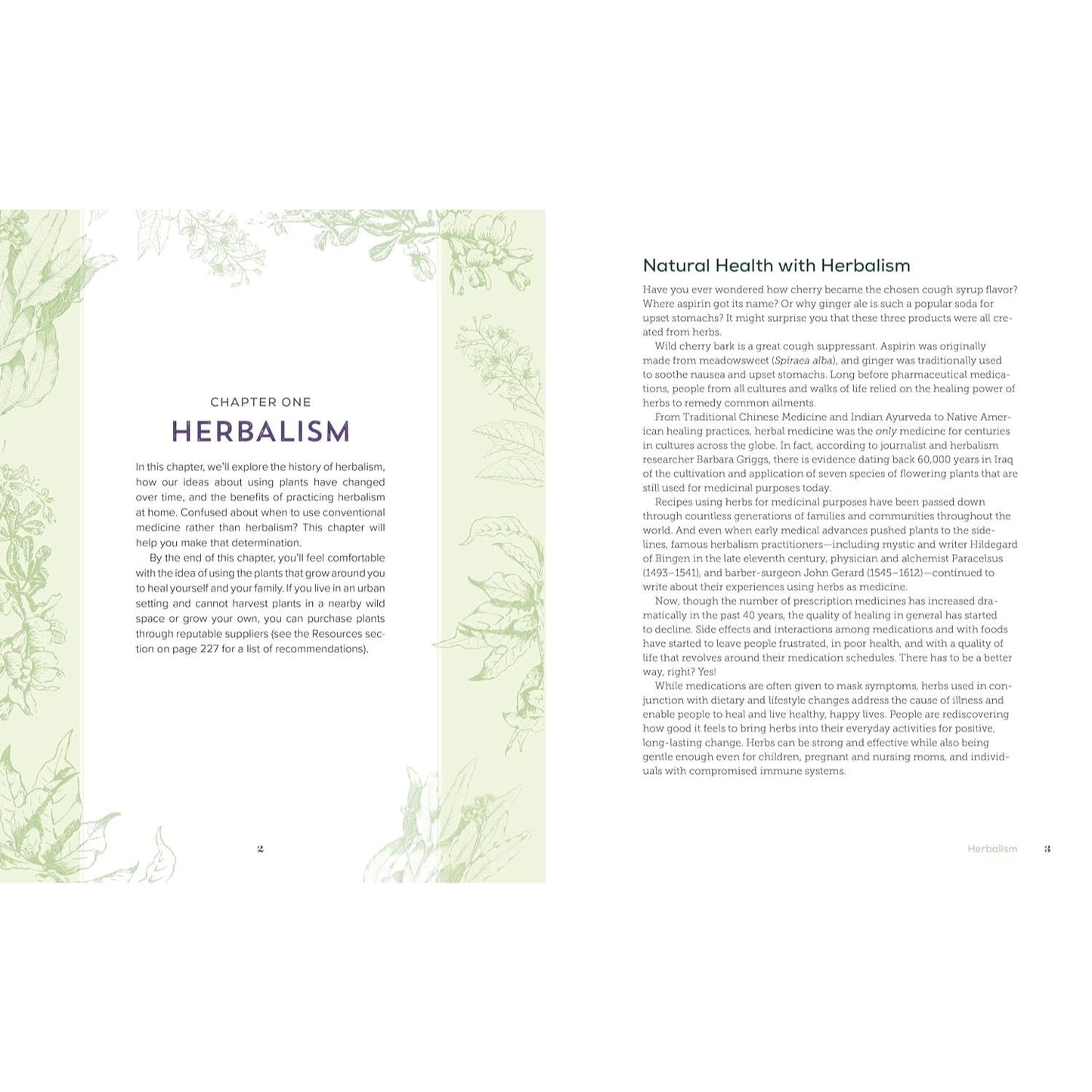 Herbalism at Home: 125 Recipes for Everyday Health