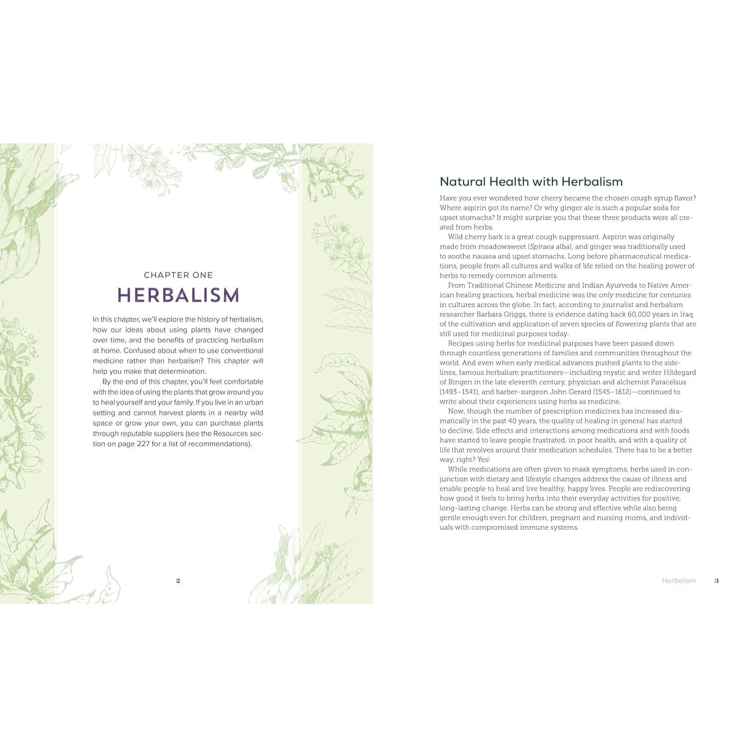 Herbalism at Home: 125 Recipes for Everyday Health