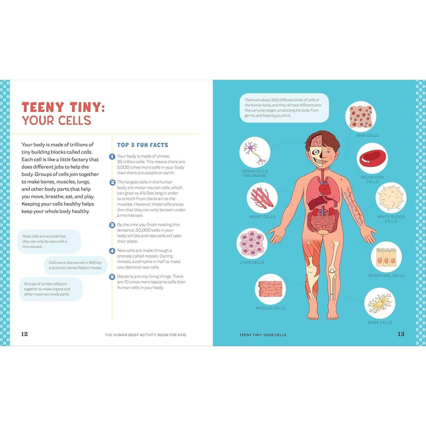 Human Body Activity Book for Kids: Hands-On Fun for Grades K-3 (Spiral Bound)