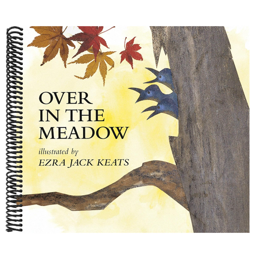 Over in the Meadow: A Counting-Out Rhythm